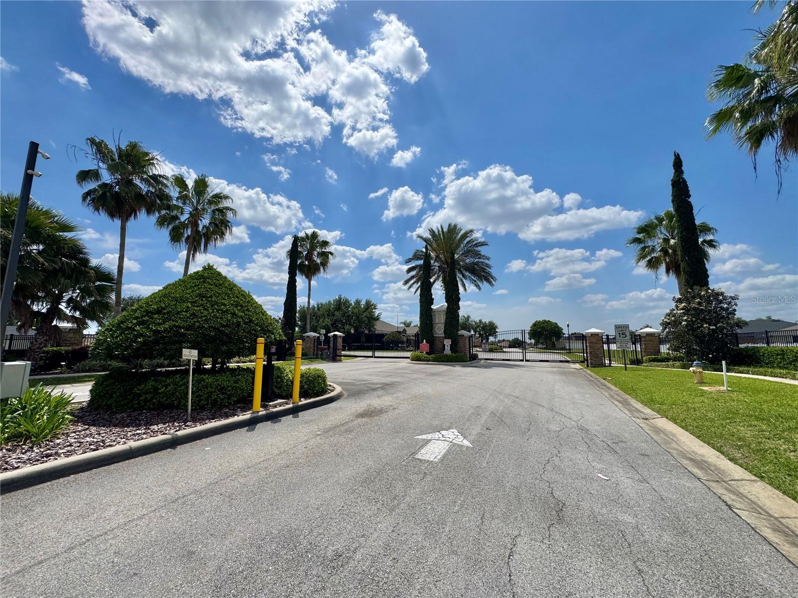 Image 39 of 39 For 4741 Mandolin Loop