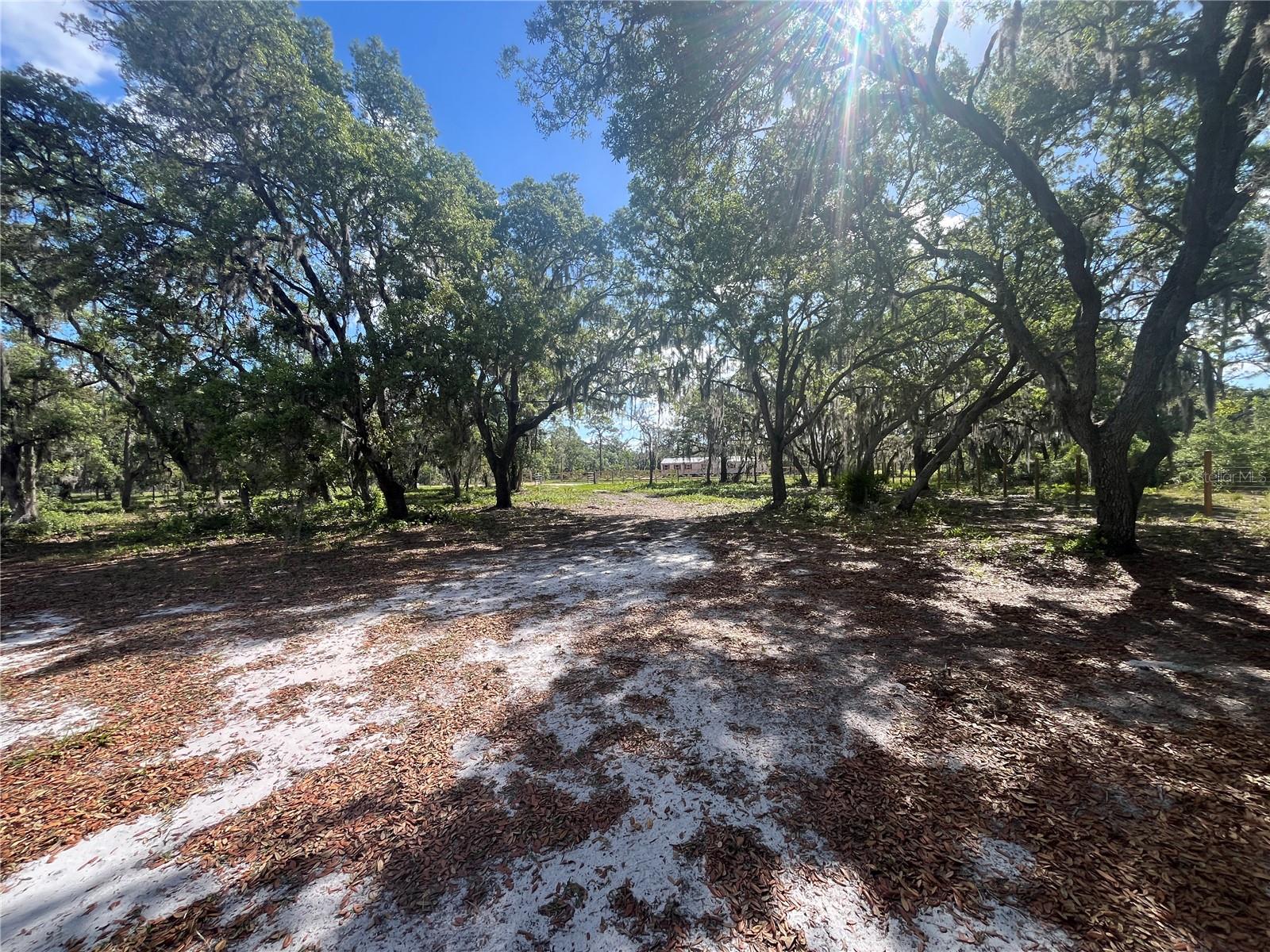 Image 10 of 35 For Fazzini Drive