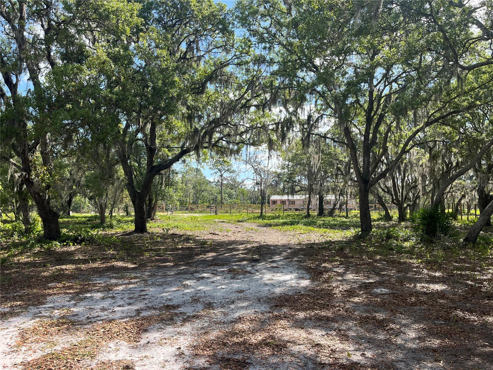 Image 11 of 35 For Fazzini Drive