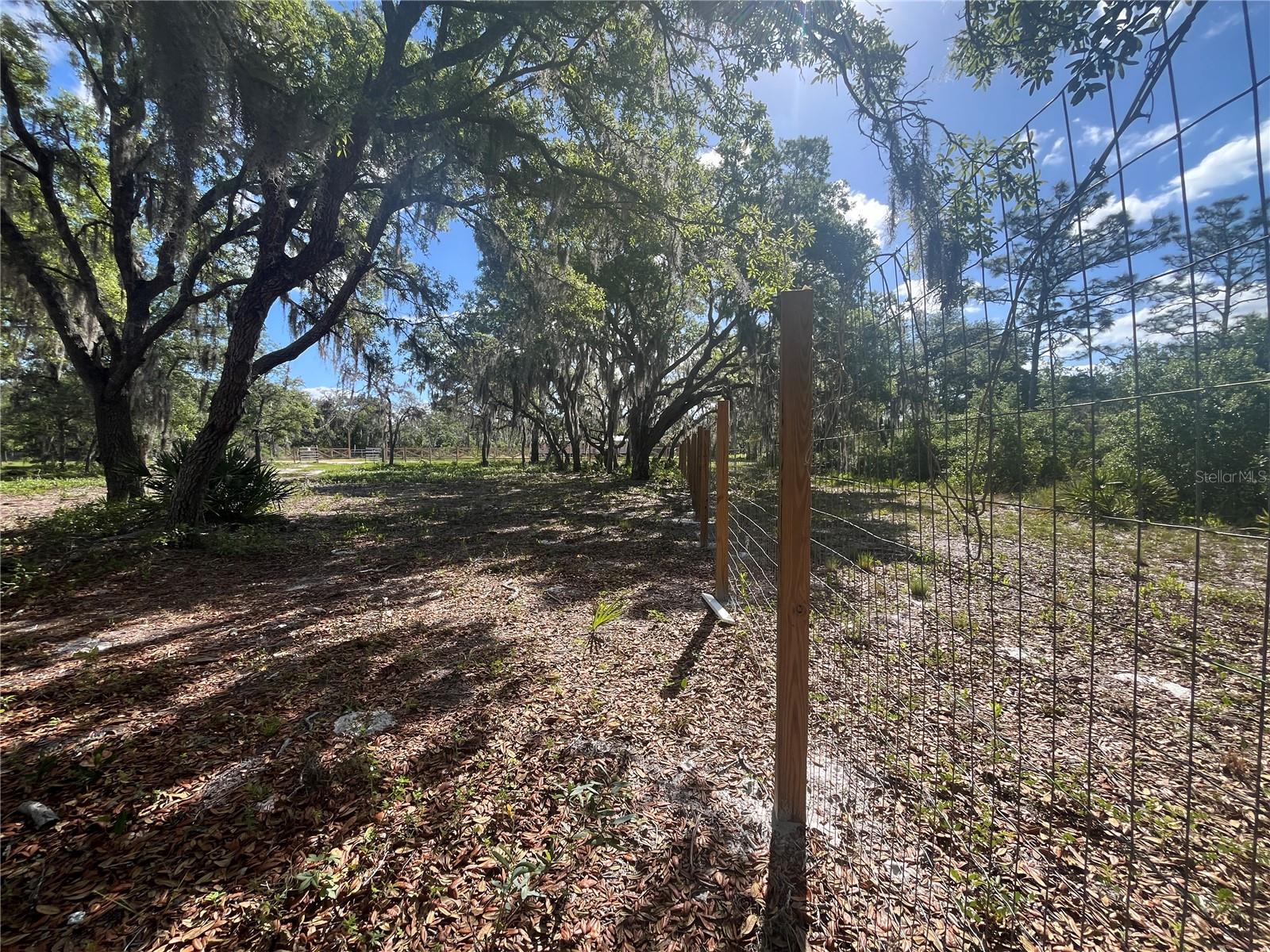 Image 12 of 35 For Fazzini Drive