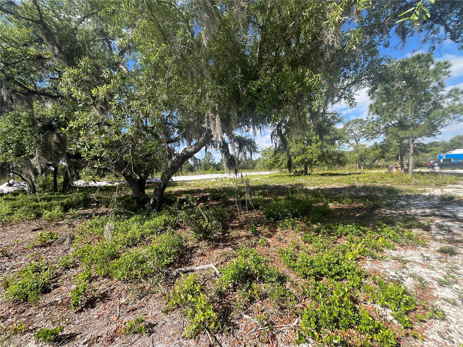 Image 16 of 35 For Fazzini Drive