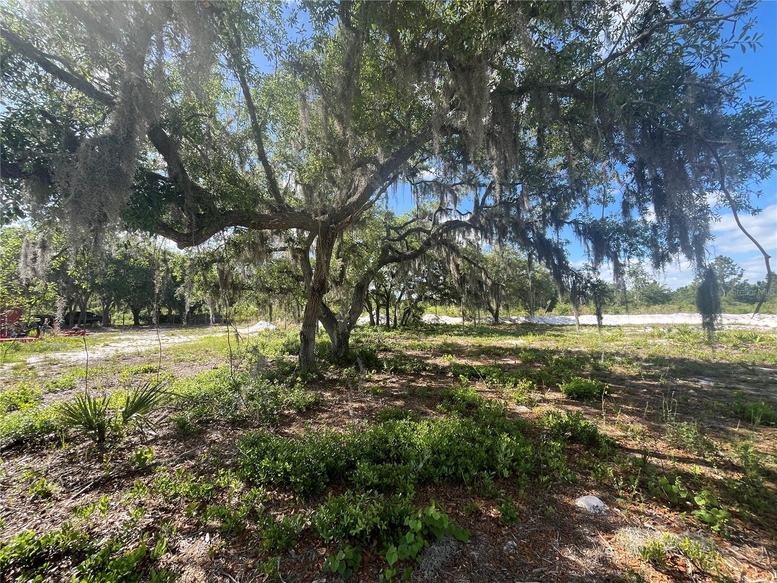 Image 17 of 35 For Fazzini Drive