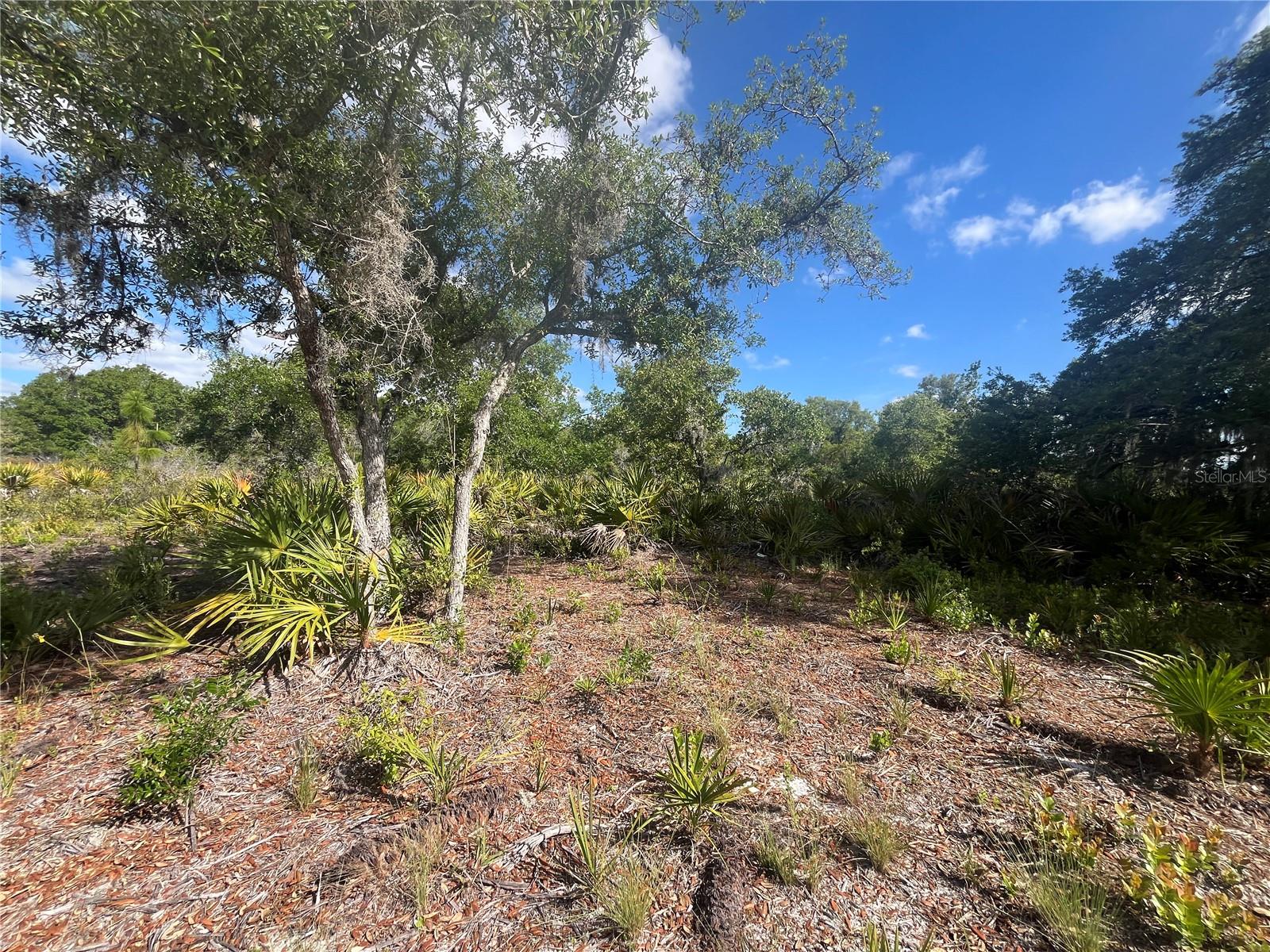 Image 18 of 35 For Fazzini Drive