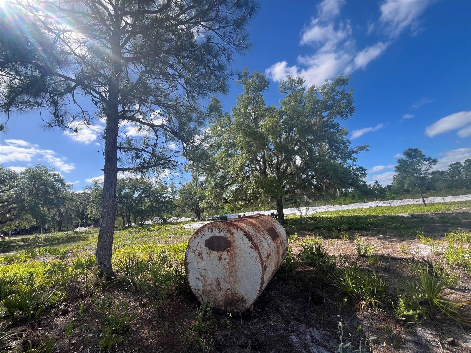 Image 19 of 35 For Fazzini Drive