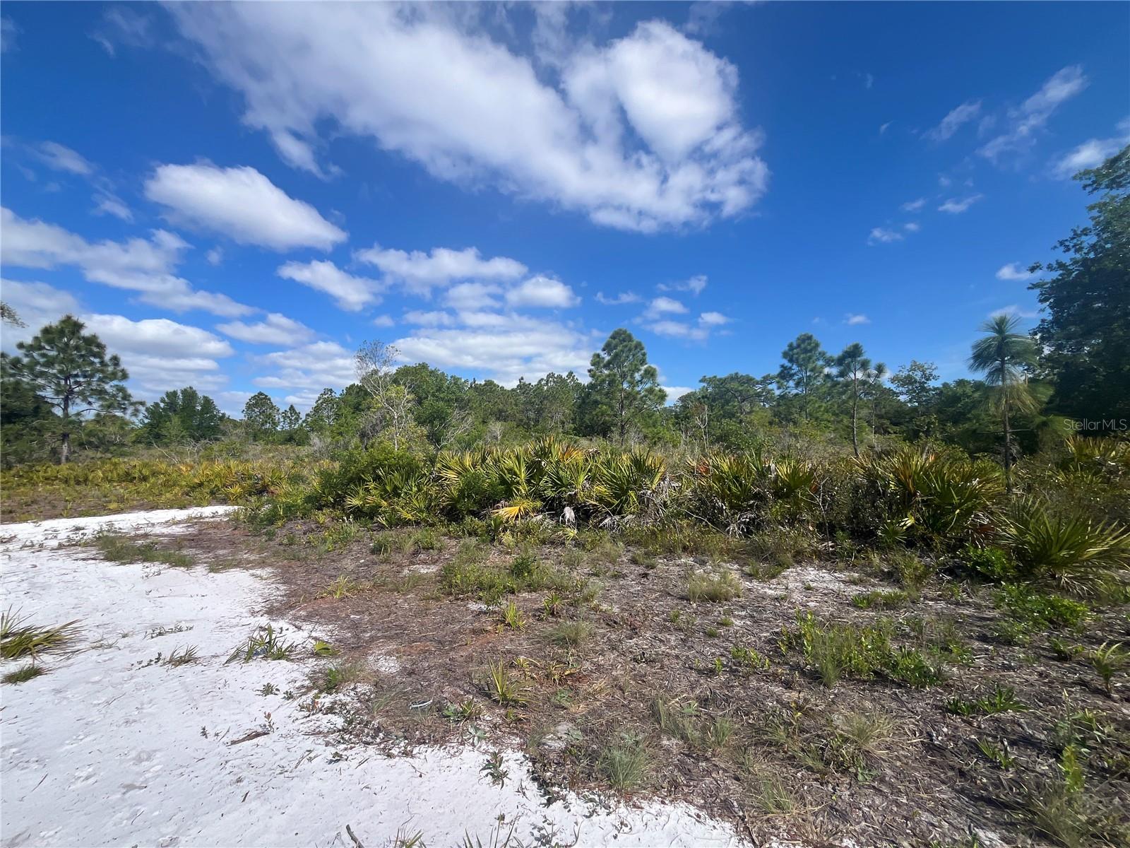 Image 20 of 35 For Fazzini Drive