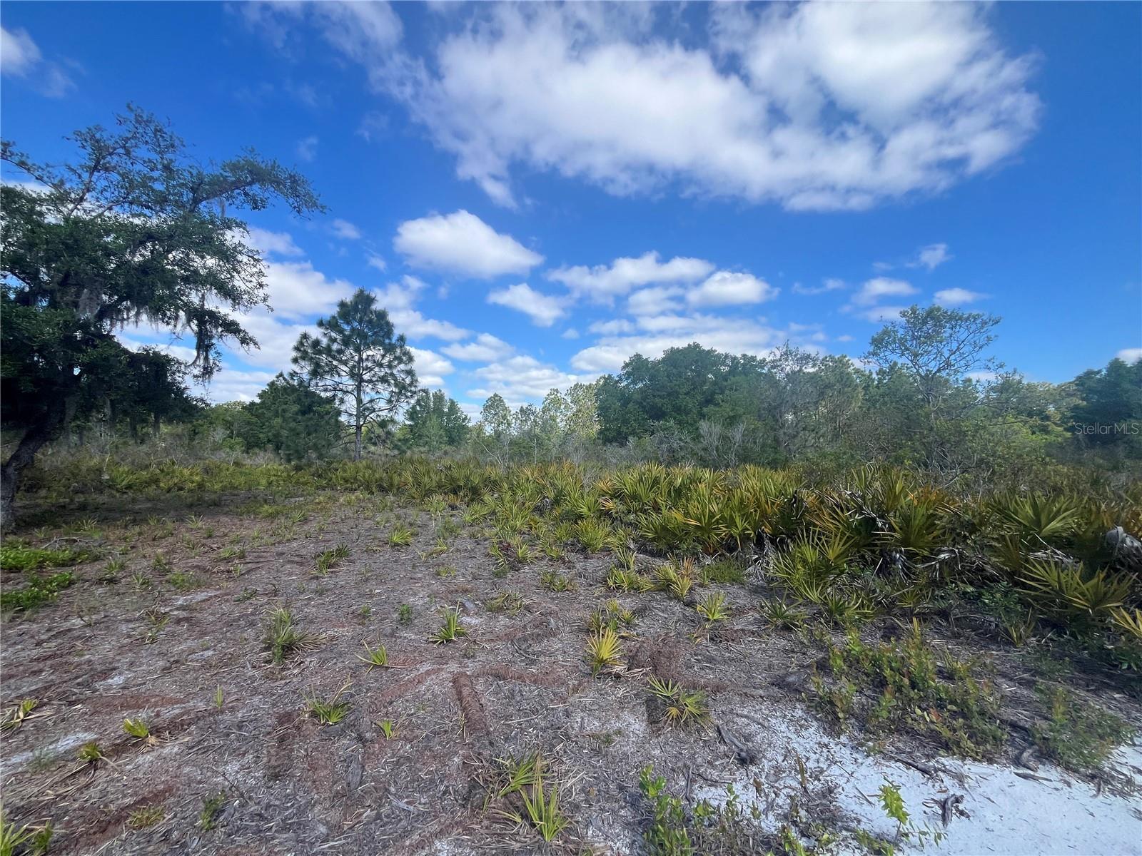 Image 21 of 35 For Fazzini Drive