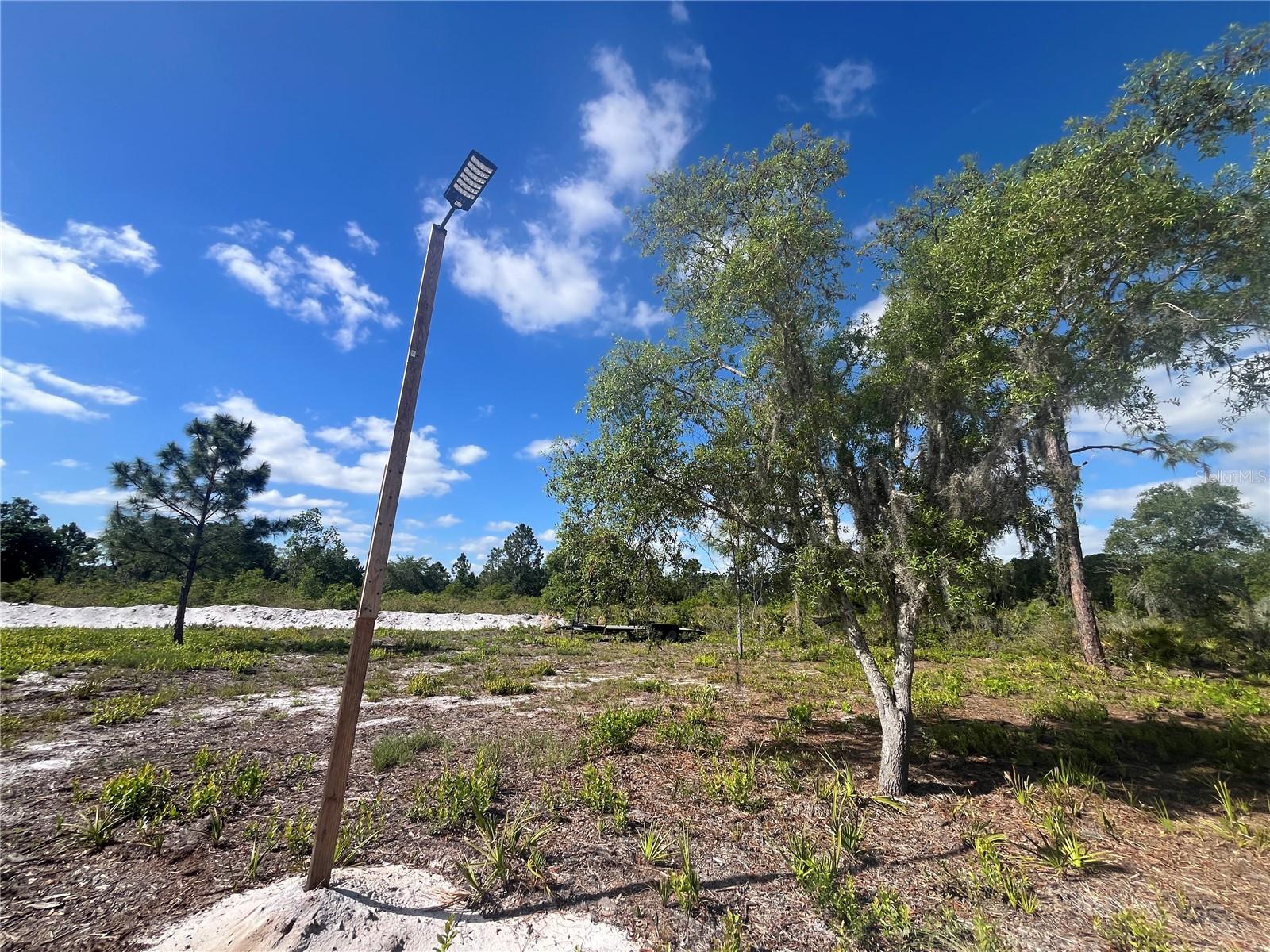 Image 25 of 35 For Fazzini Drive