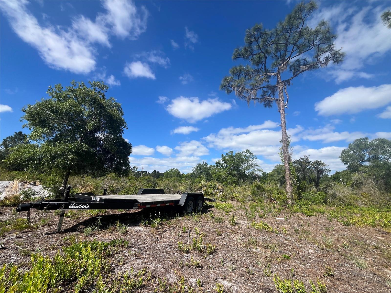 Image 26 of 35 For Fazzini Drive