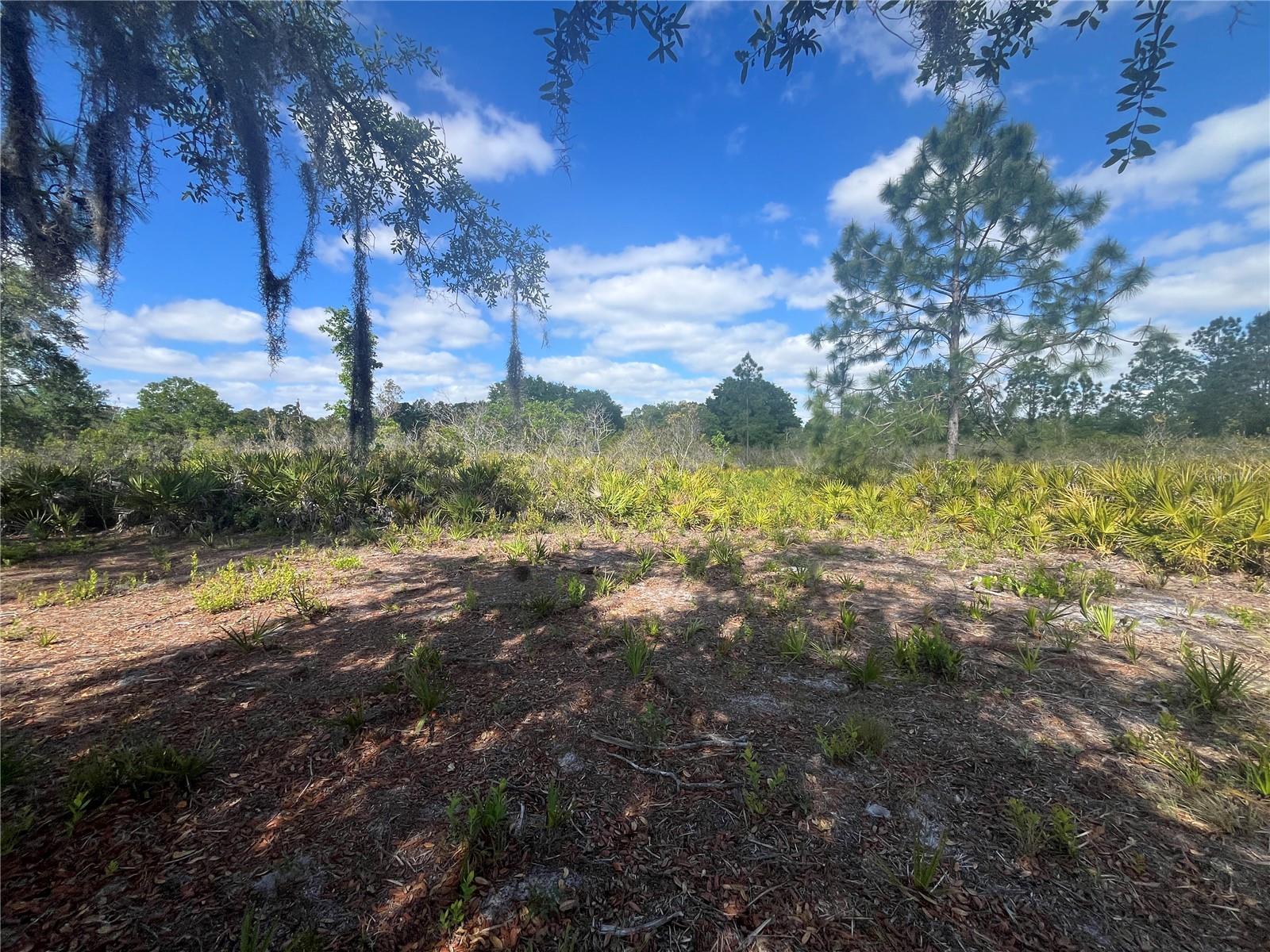 Image 27 of 35 For Fazzini Drive