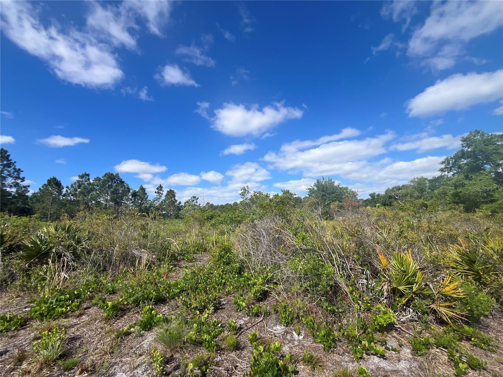 Image 29 of 35 For Fazzini Drive