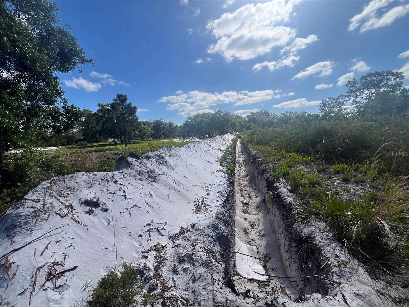 Image 30 of 35 For Fazzini Drive