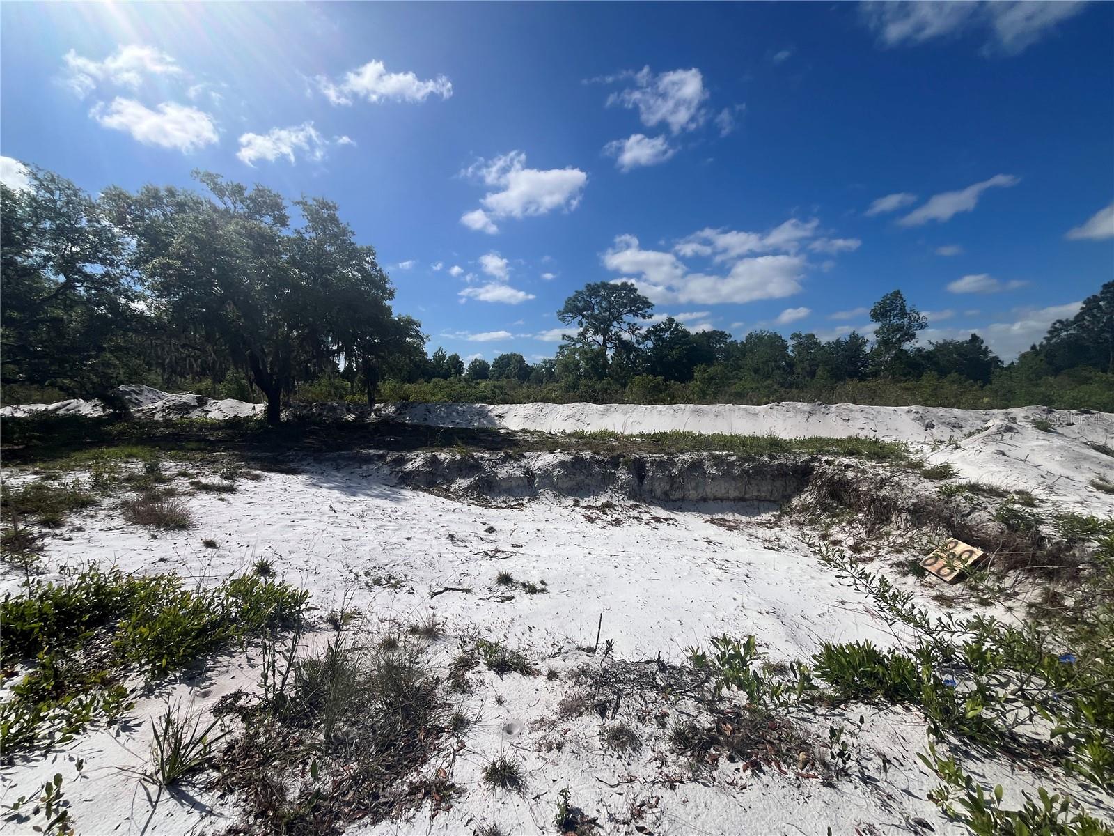 Image 31 of 35 For Fazzini Drive