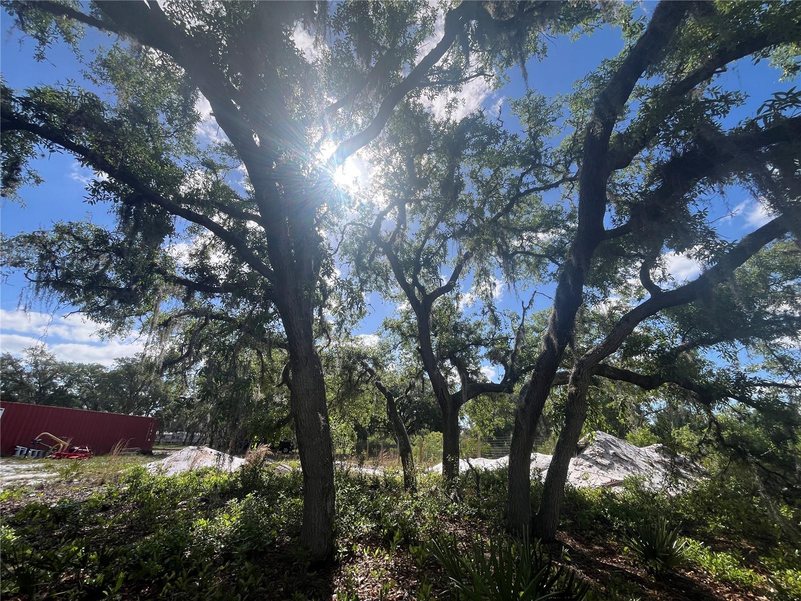 Image 32 of 35 For Fazzini Drive