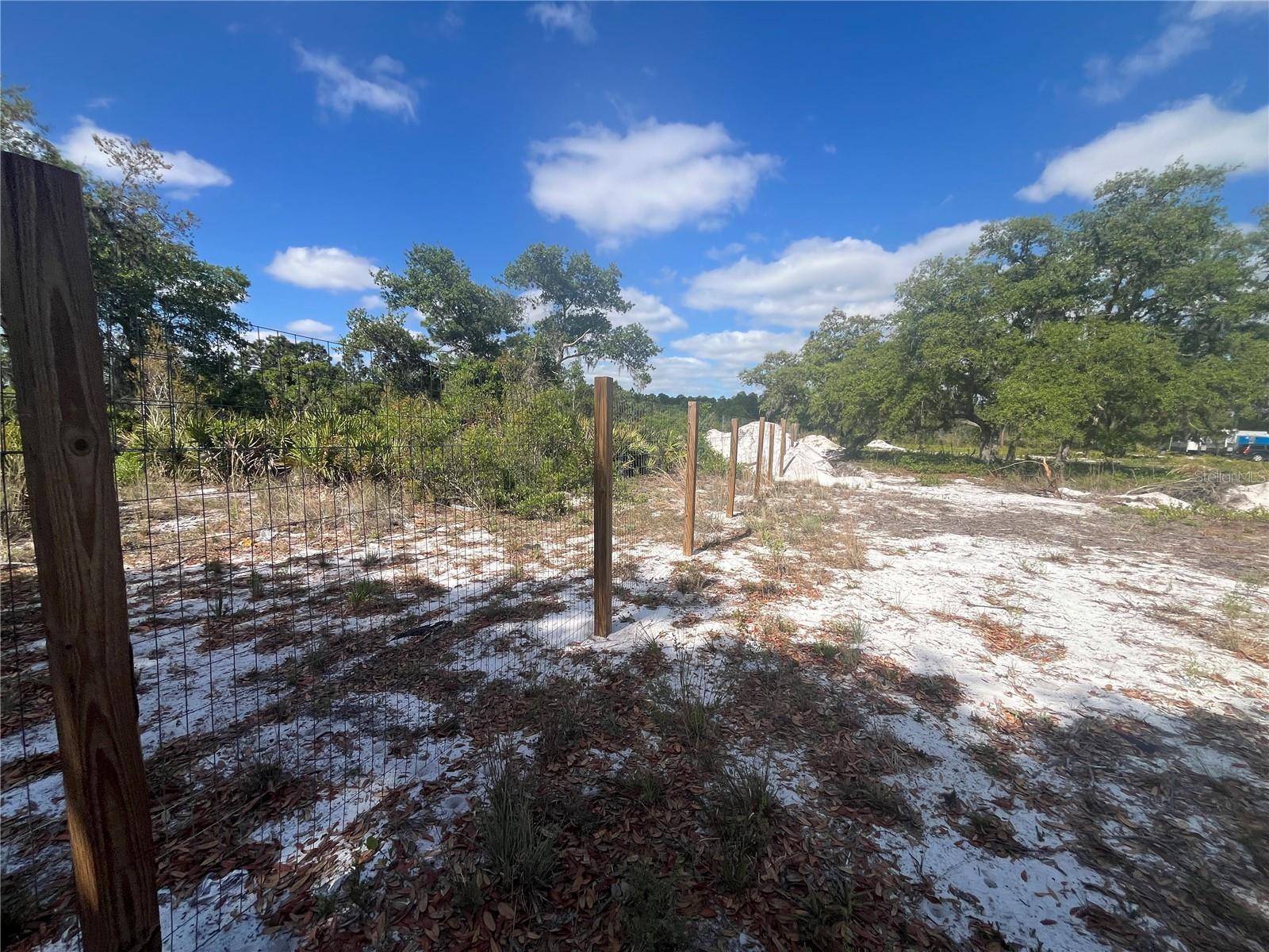 Image 33 of 35 For Fazzini Drive