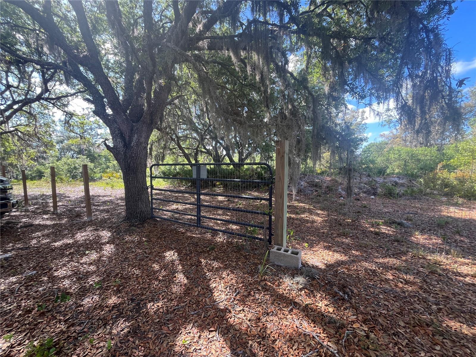 Image 34 of 35 For Fazzini Drive