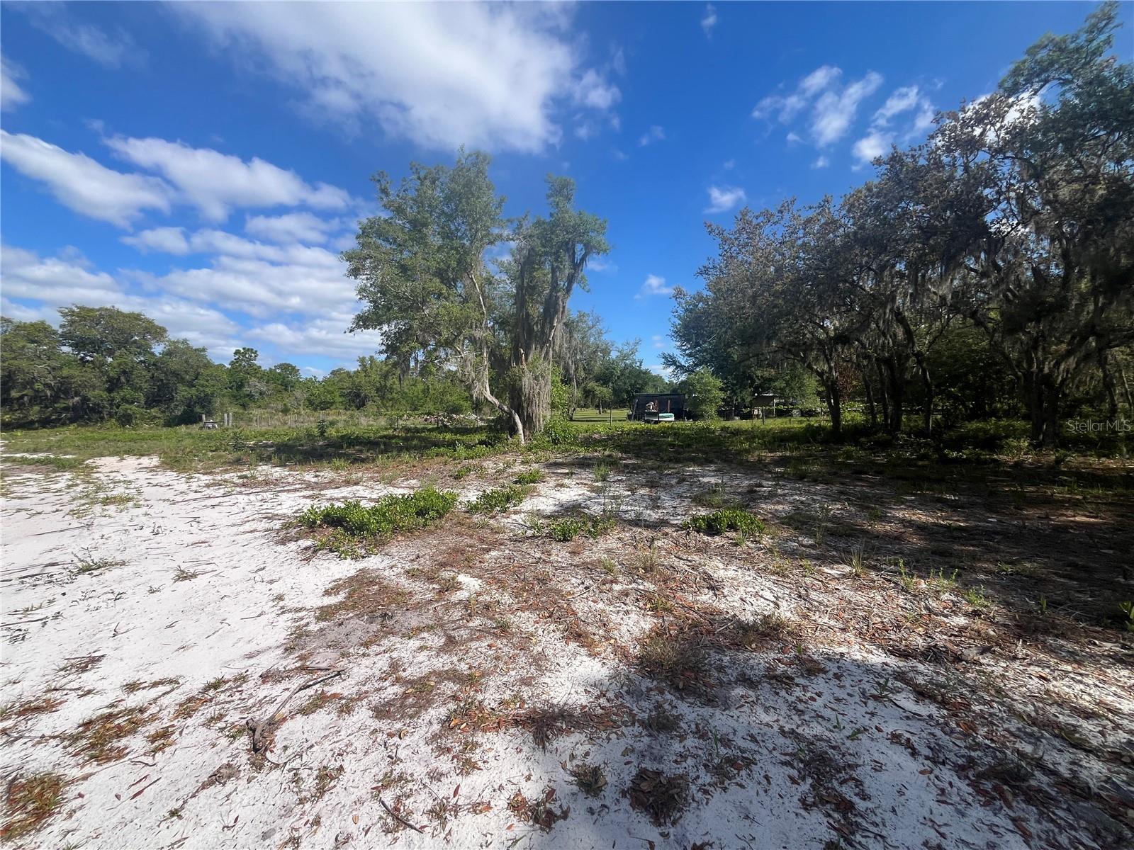 Image 9 of 35 For Fazzini Drive