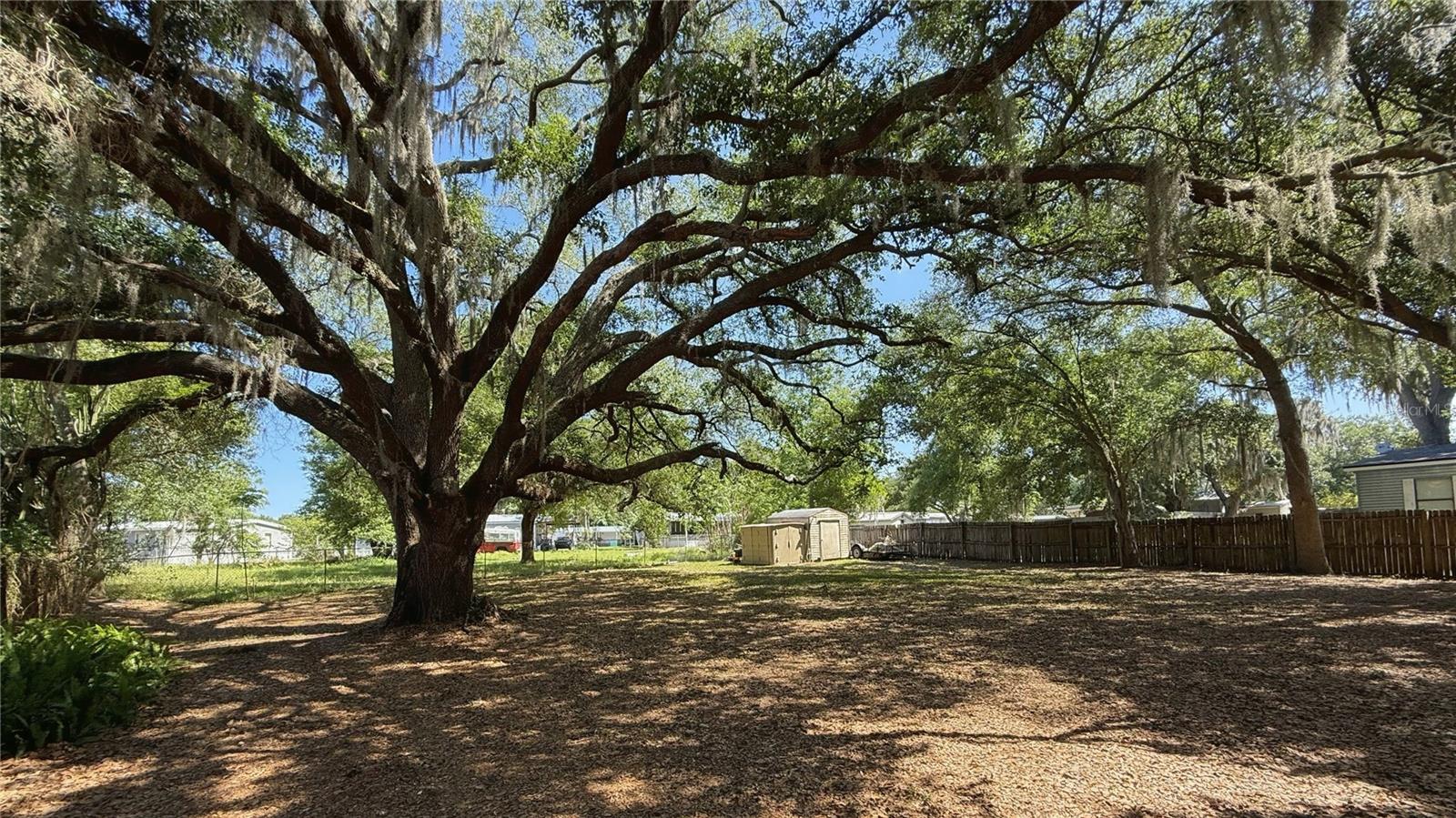 Image 3 of 19 For 4817 Rollinglen Loop W