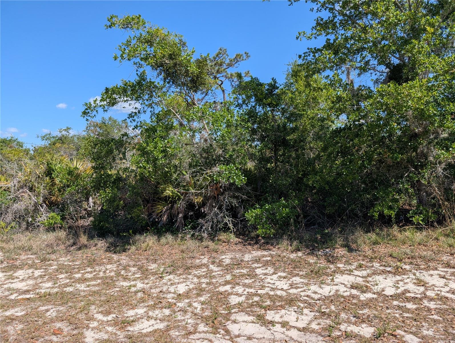 Details for 816 Bougainville Drive, INDIAN LAKE ESTATES, FL 33855