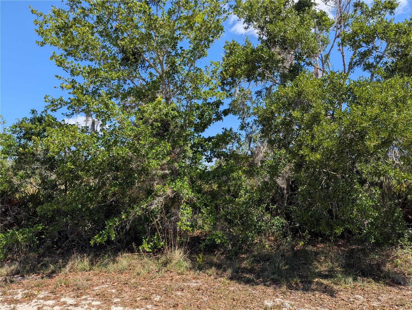 Image 3 of 46 For 816 Bougainville Drive
