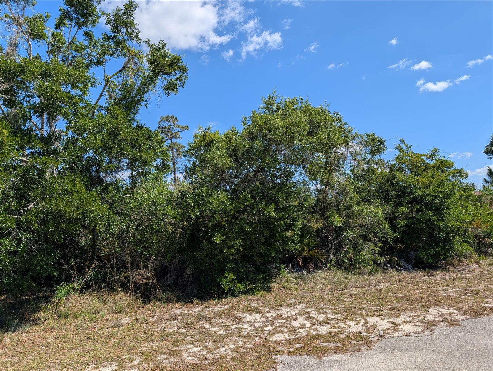 Image 6 of 46 For 816 Bougainville Drive