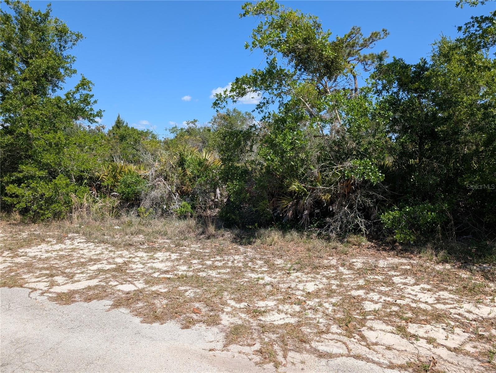 Image 8 of 46 For 816 Bougainville Drive