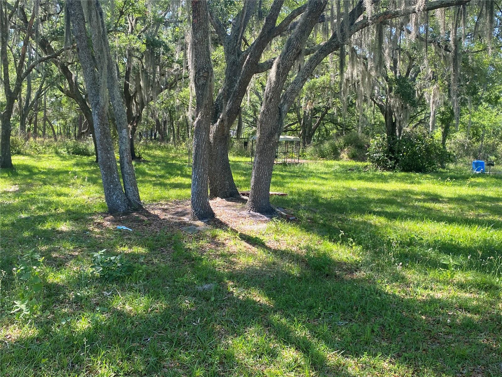 Image 31 of 37 For 19507 Hwy 60 E