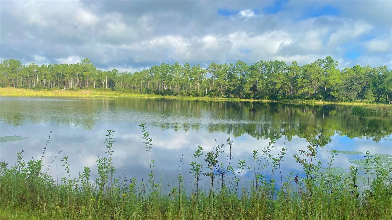 Image 33 of 37 For 19507 Hwy 60 E