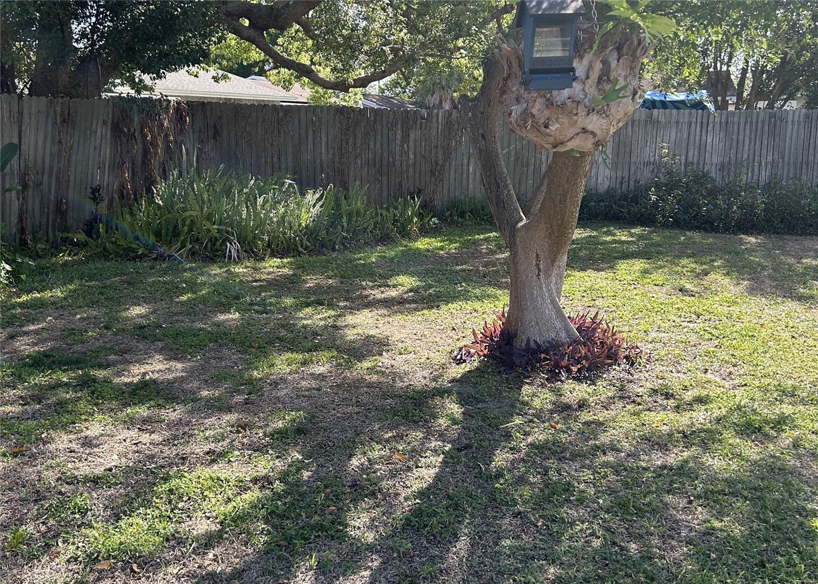 Image 3 of 23 For 1715 Sandalwood Circle Sw