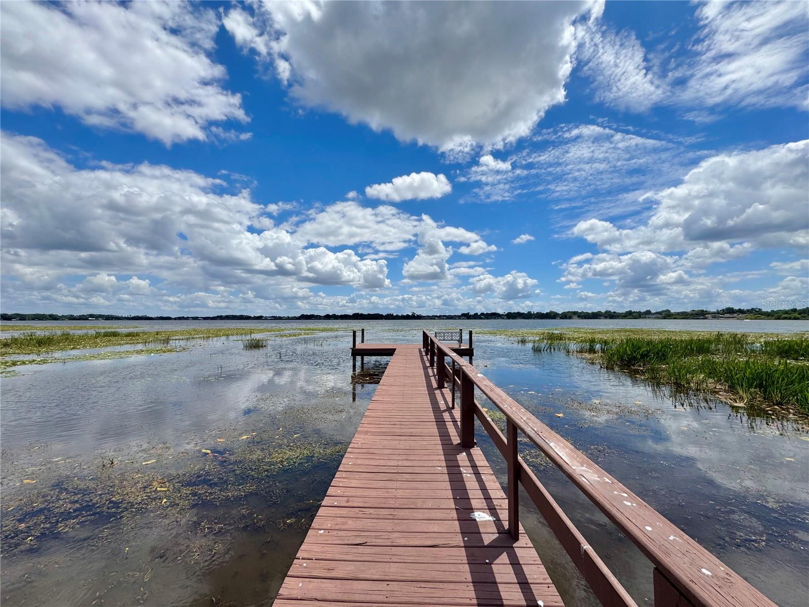 Image 47 of 53 For 2410 Hartridge Point Drive W