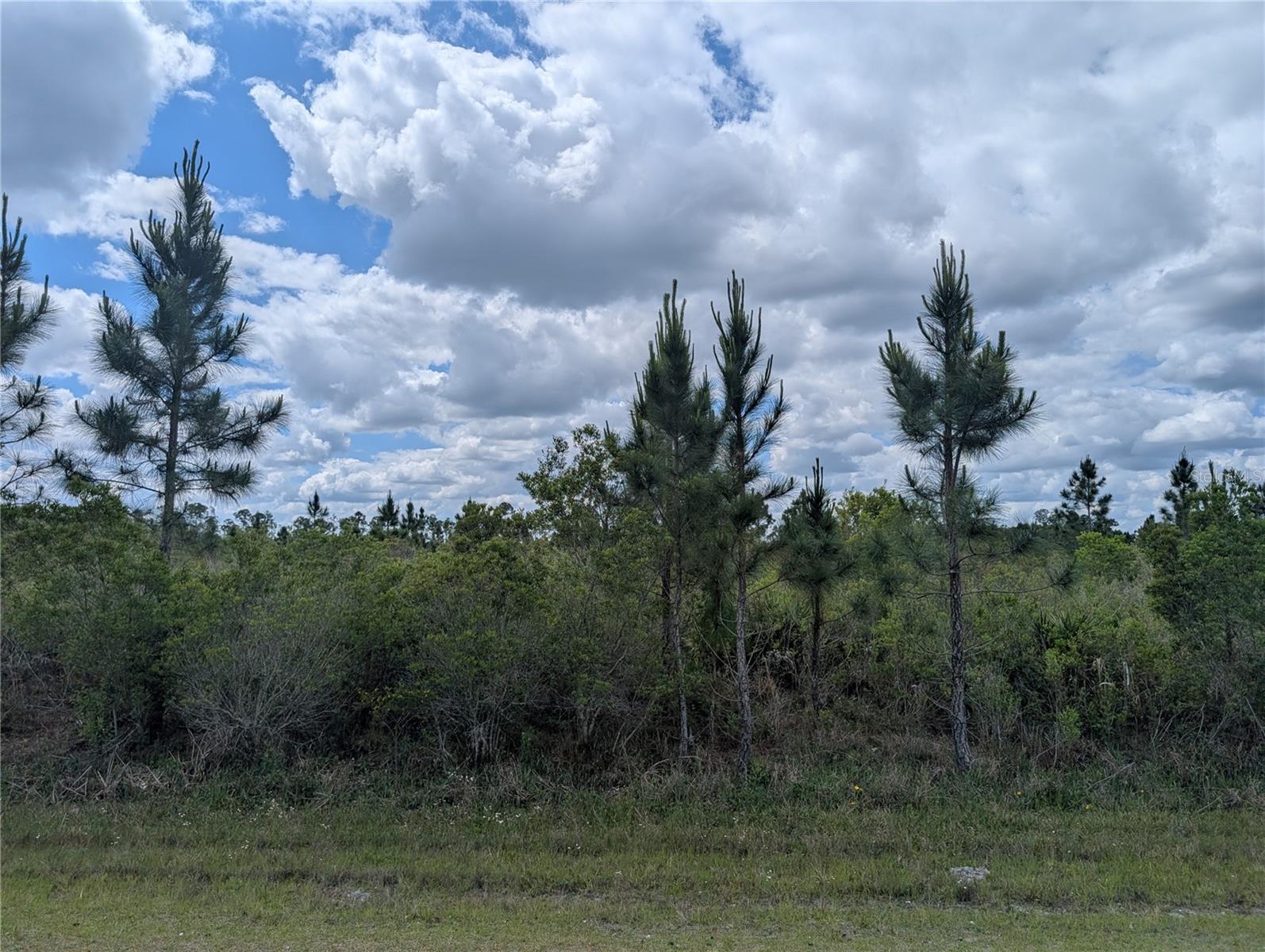 Image 10 of 48 For Althea Drive