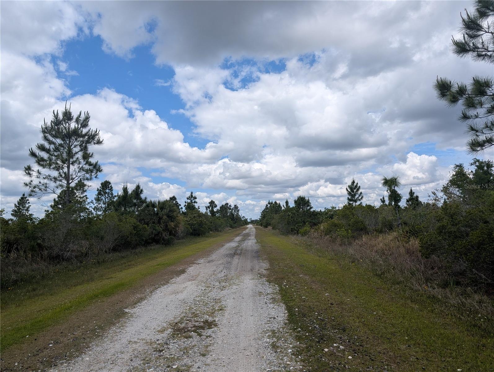 Image 4 of 48 For Althea Drive