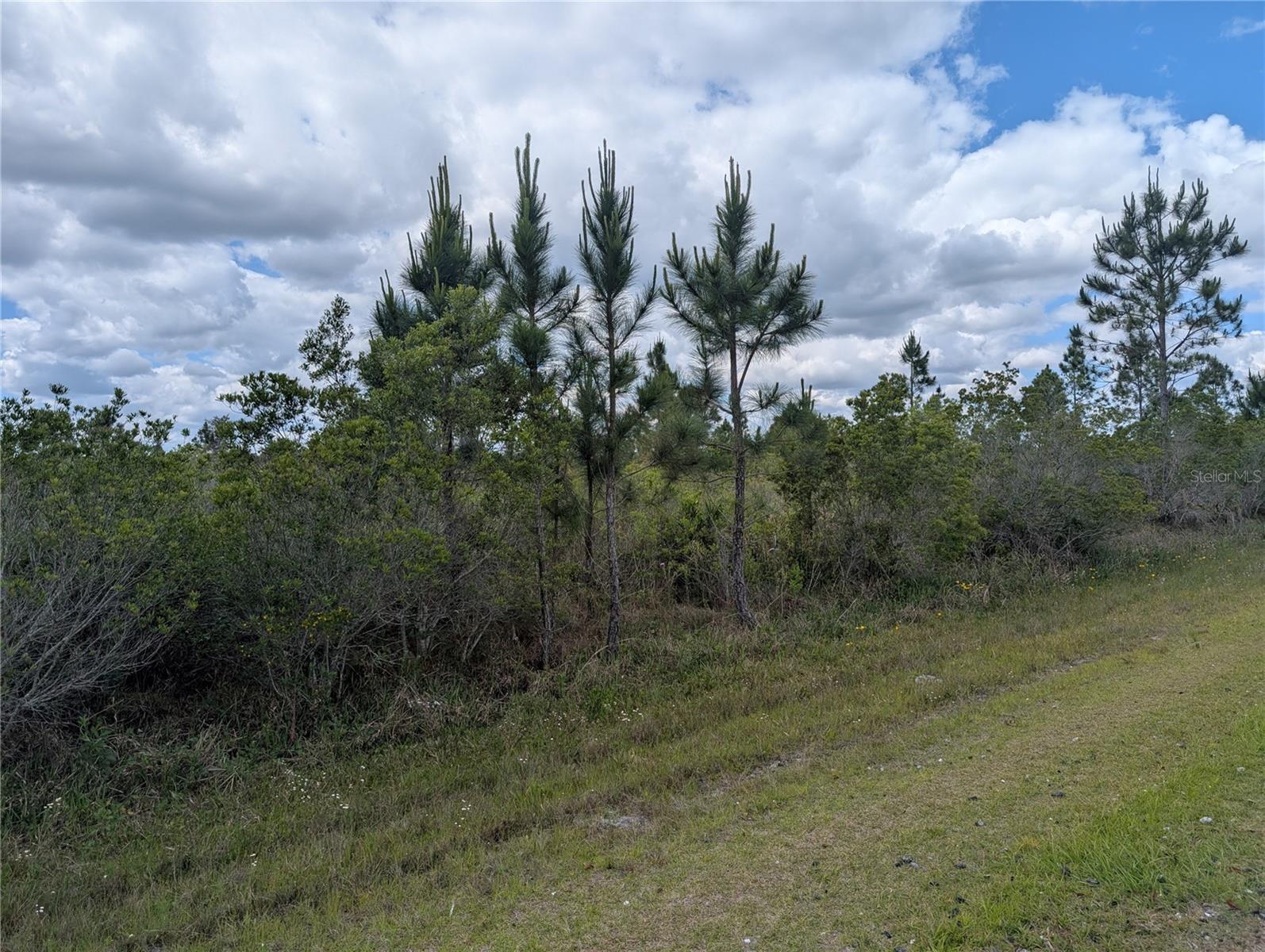 Image 5 of 48 For Althea Drive