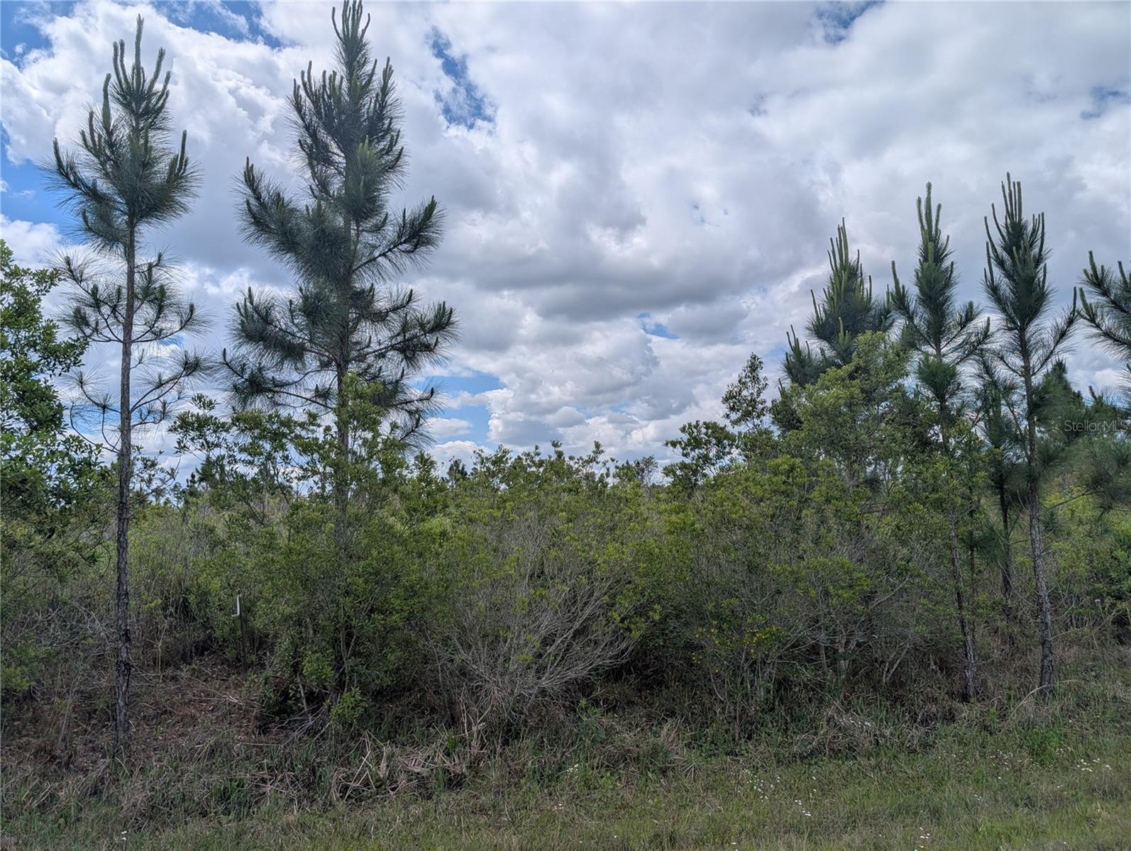 Image 6 of 48 For Althea Drive