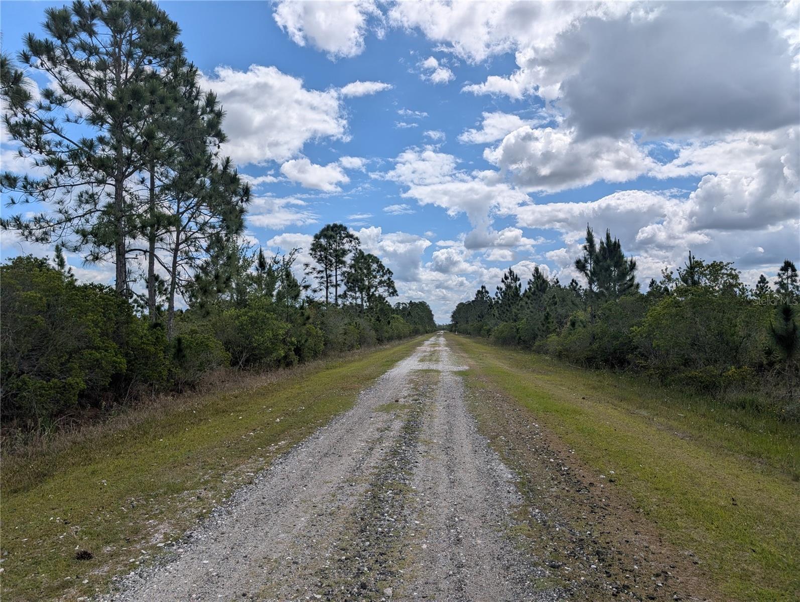 Image 8 of 48 For Althea Drive