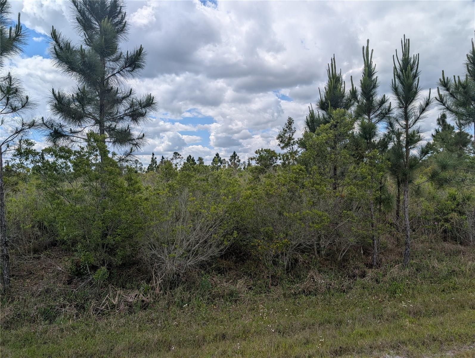 Image 9 of 48 For Althea Drive