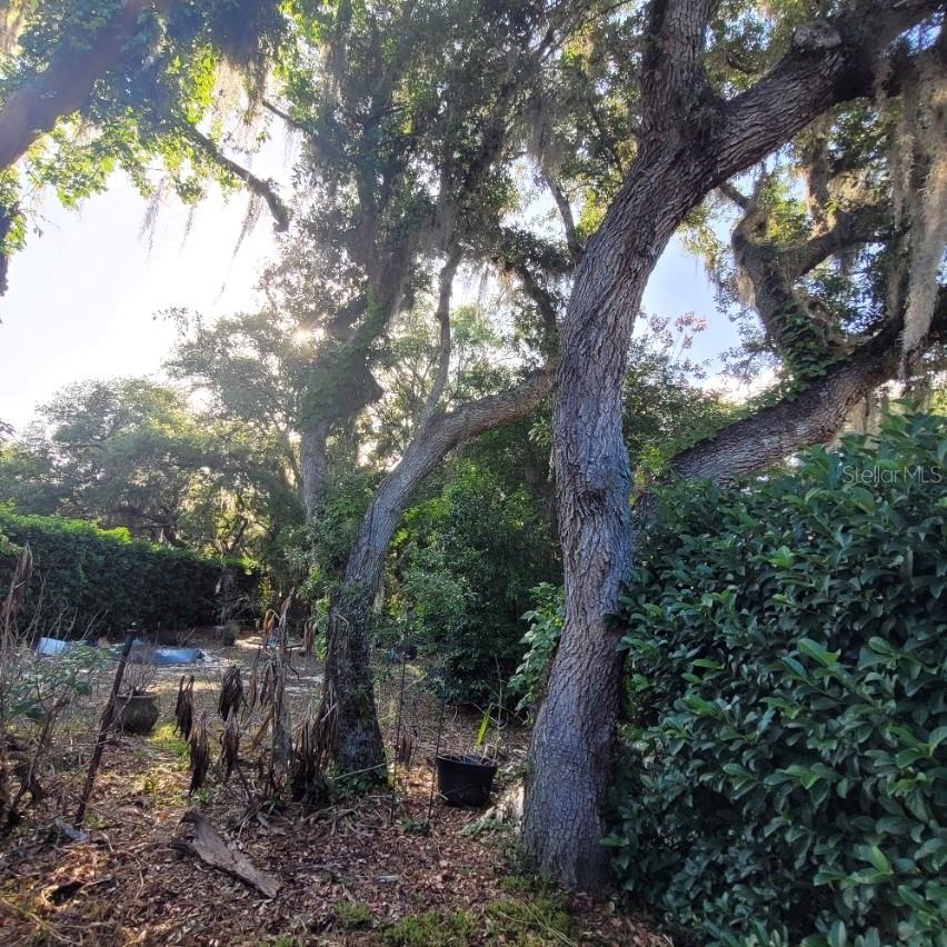 Image 37 of 46 For 991 Old Cutler Road