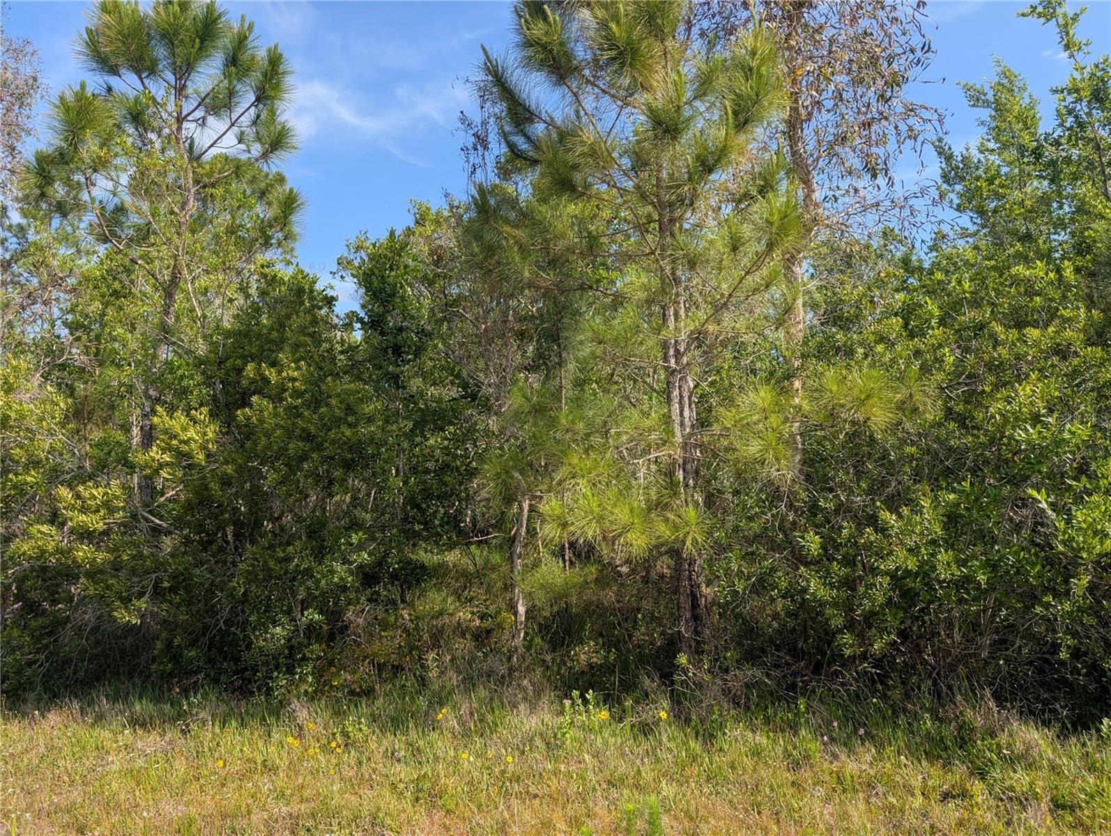 Details for 704 Orchid Drive, INDIAN LAKE ESTATES, FL 33855