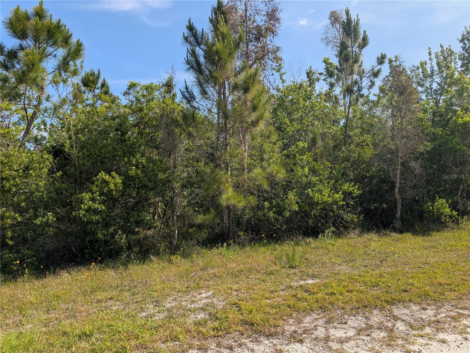 Image 4 of 46 For 704 Orchid Drive