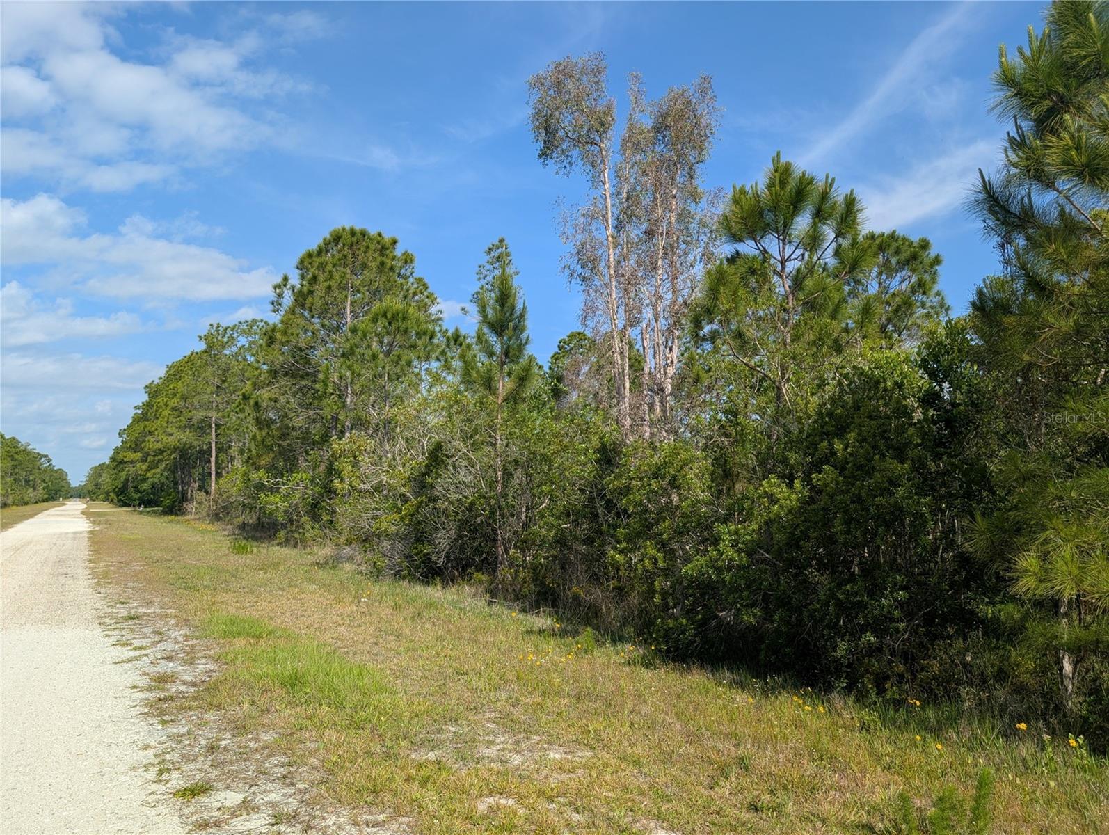 Image 6 of 46 For 704 Orchid Drive
