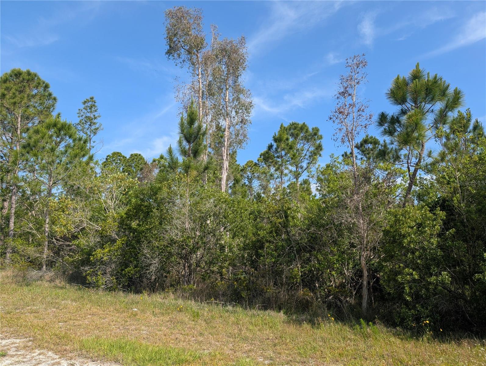 Image 7 of 46 For 704 Orchid Drive