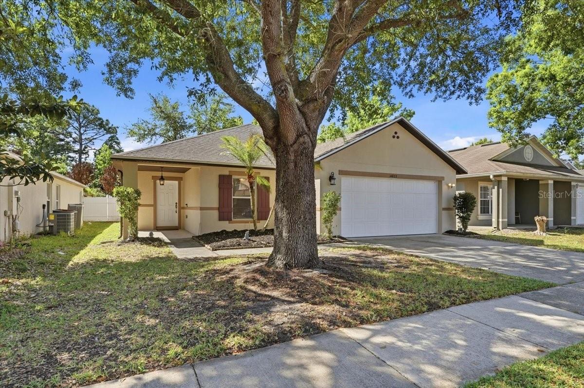 Image 25 of 34 For 14852 Pellicer Drive