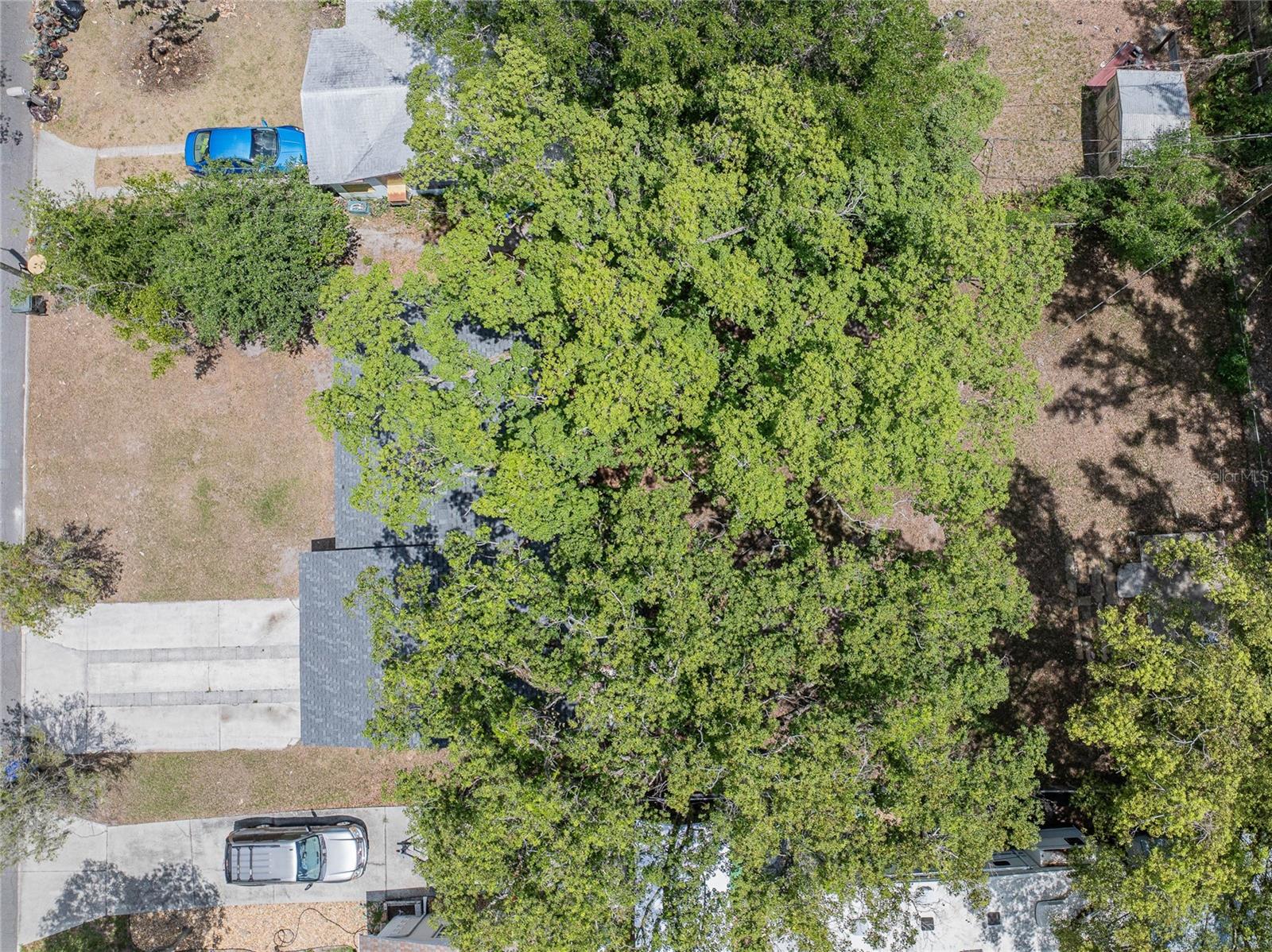 Image 4 of 25 For 1634 Warren Avenue