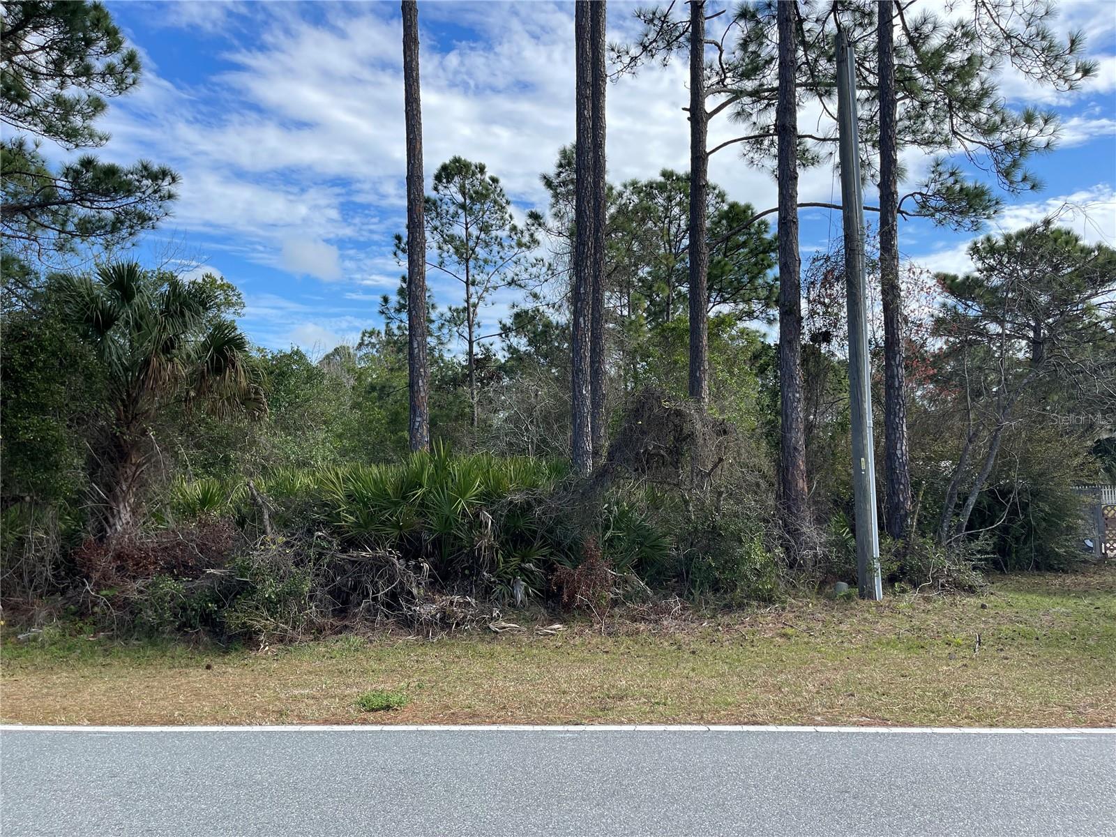 Details for Royal Trail Rd, EUSTIS, FL 32736