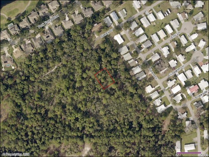 Listing Details for Stacey Drive, MOUNT DORA, FL 32757