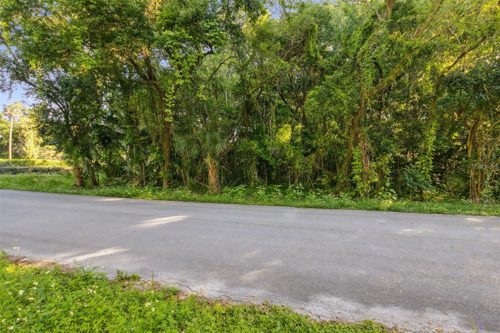 Details for Lot B (address Tbd) Quebec Avenue, DE LEON SPRINGS, FL 32130