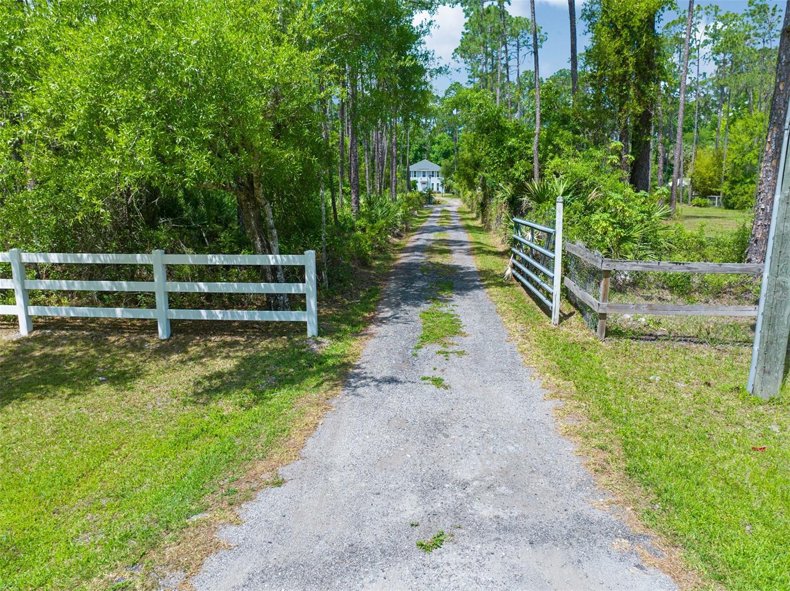 Image 8 of 68 For 1850 Lake Disston Drive