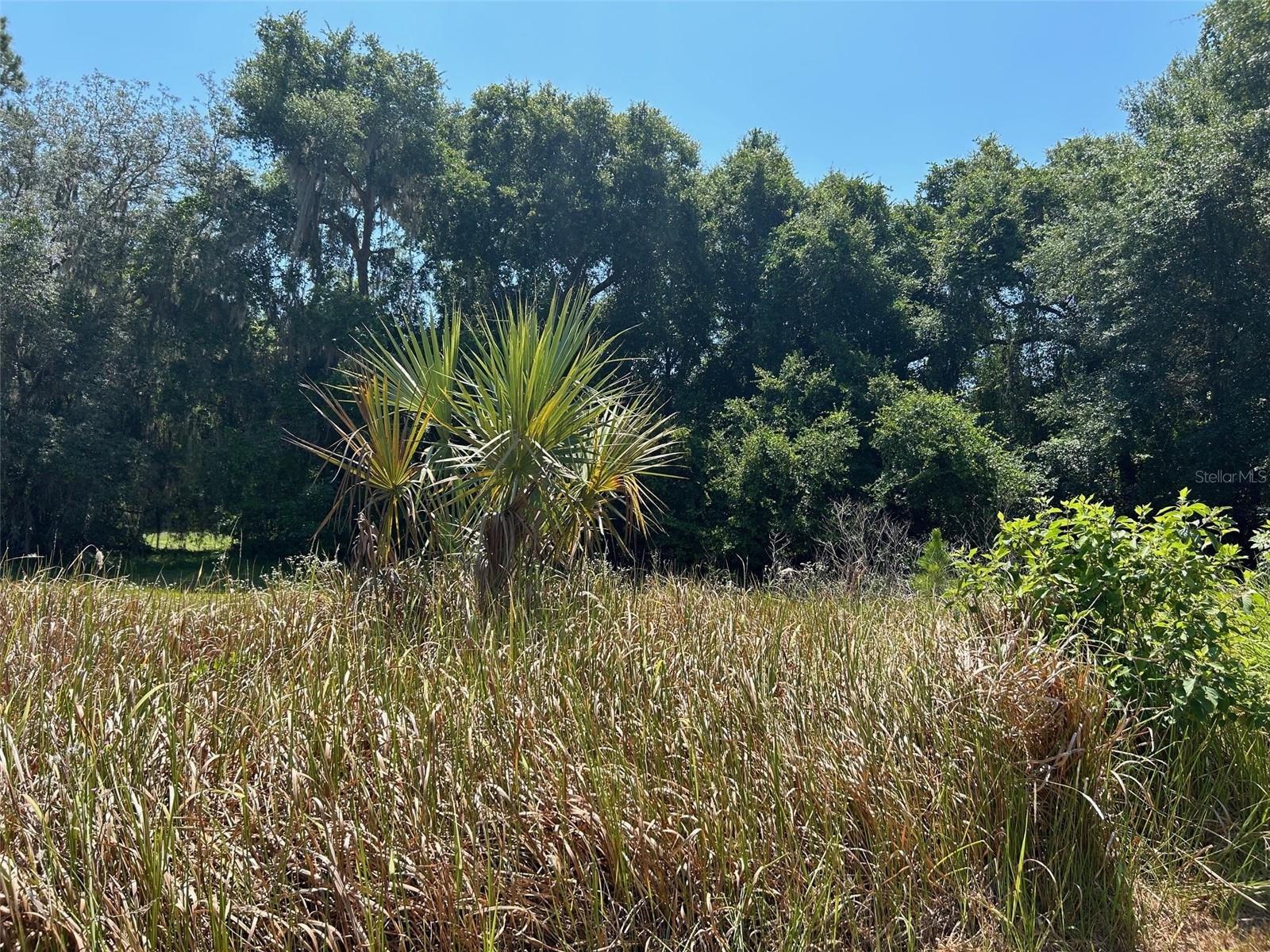 Image 4 of 14 For 167 Live Oak Circle