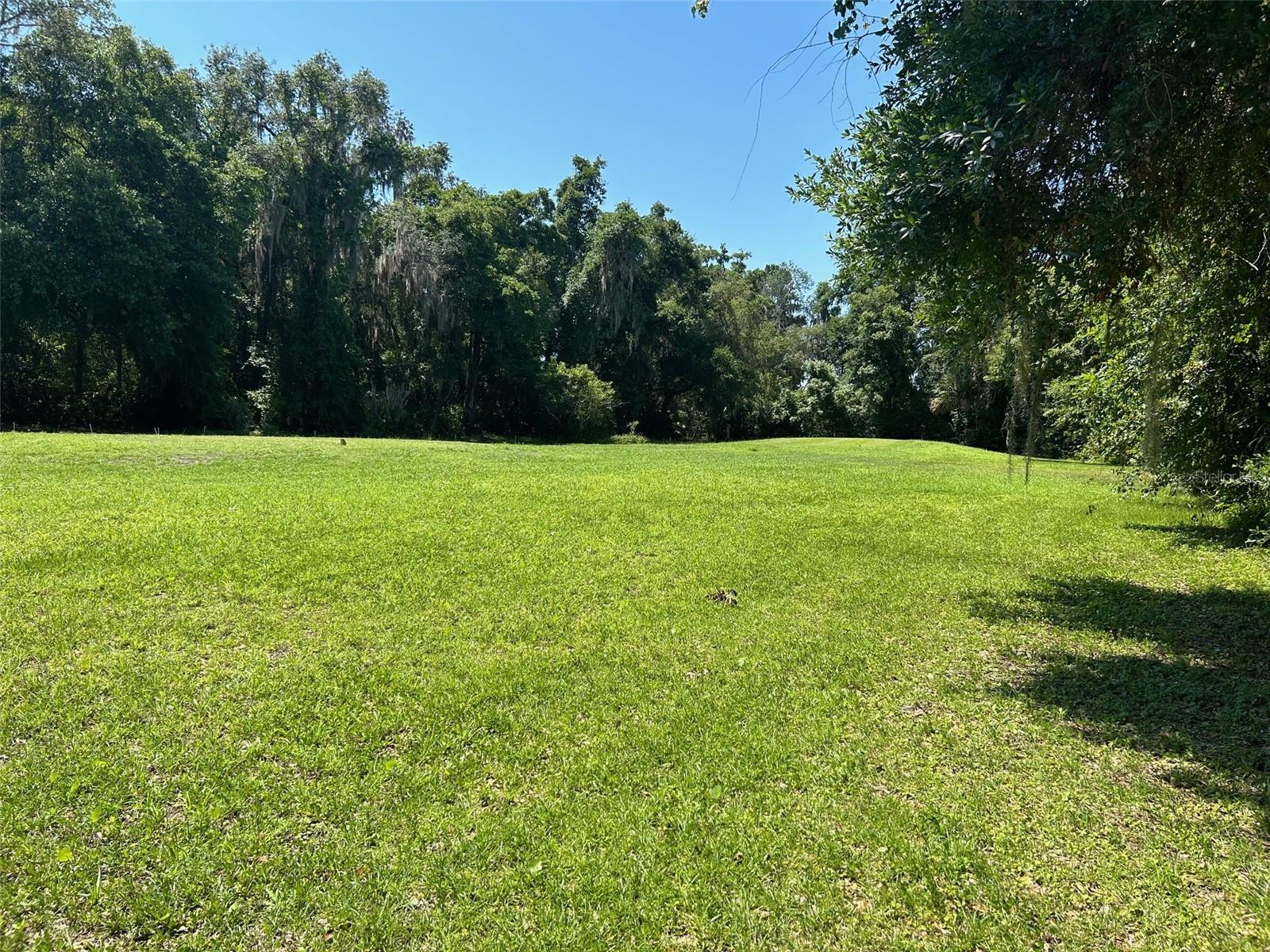 Image 6 of 14 For 167 Live Oak Circle
