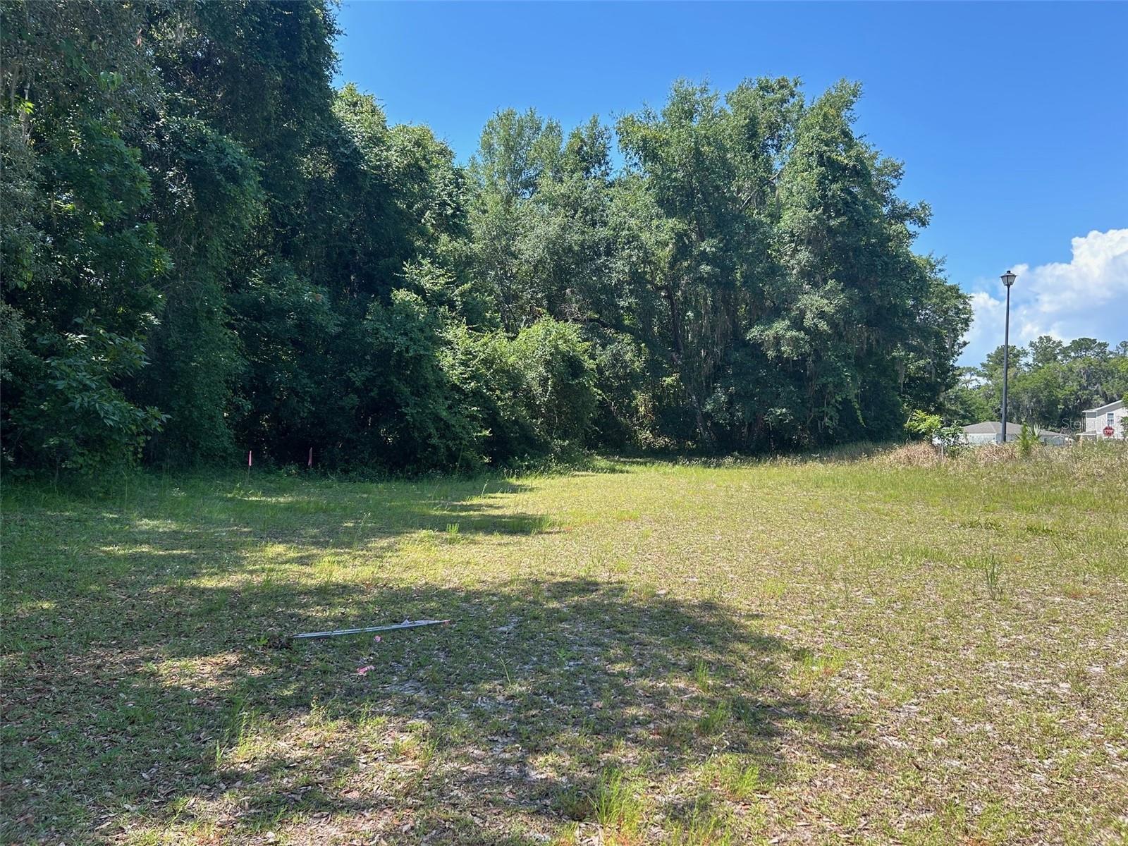 Image 8 of 14 For 167 Live Oak Circle