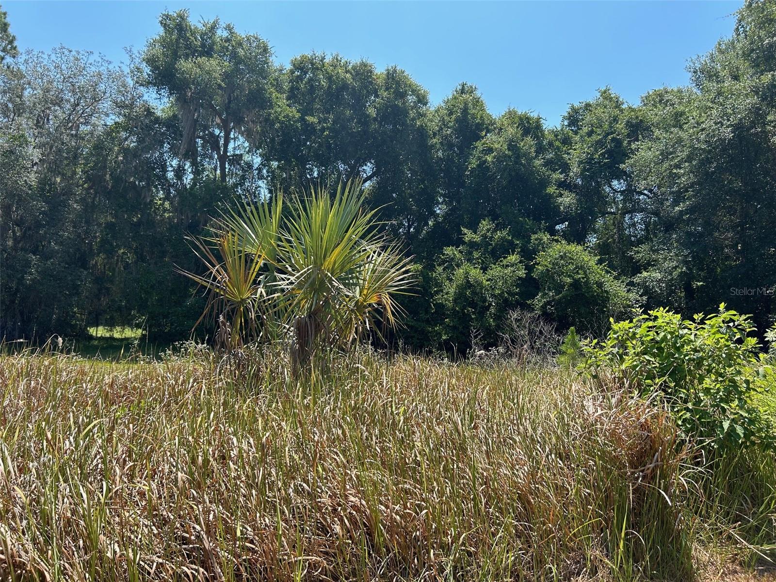Image 9 of 14 For 167 Live Oak Circle